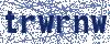 Auto Loans